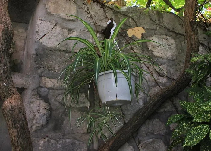 Apartments By The Sea Slano, Dubrovnik - 8608 Lägenhet